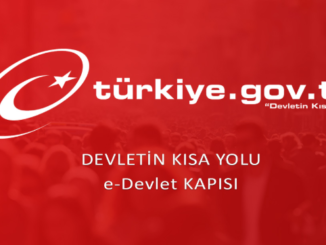 Mahkeme dosyası e devlette görünmüyor 1