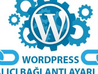 Wordpress url sonuna .html eklemek