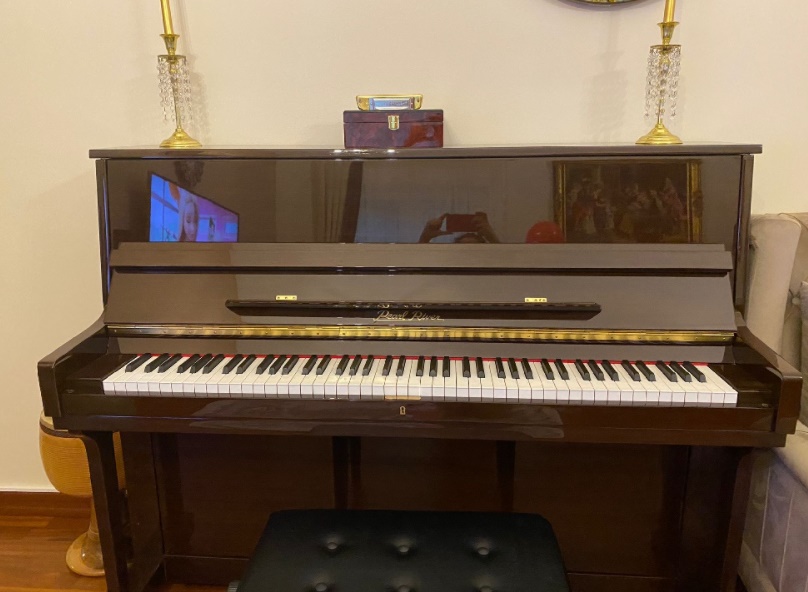 2. El Akustik Duvar Piyanosu